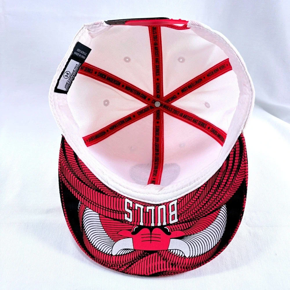 Melonwear NBA Chicago Bulls BMO Harris Artist Series Chuck Anderson Snapback Hat